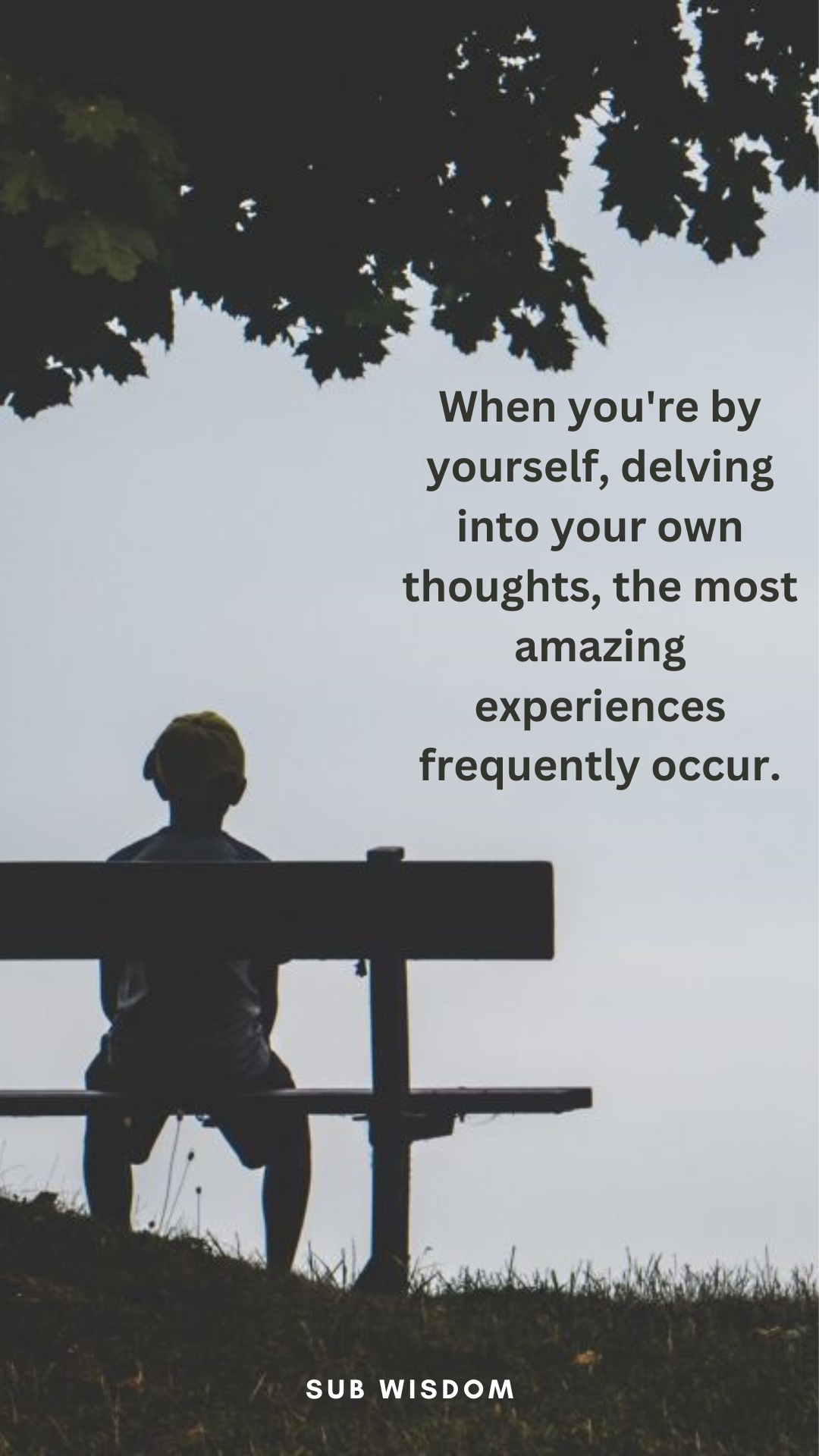 55+ Better To Be Alone Quotes to Help You Find Peace