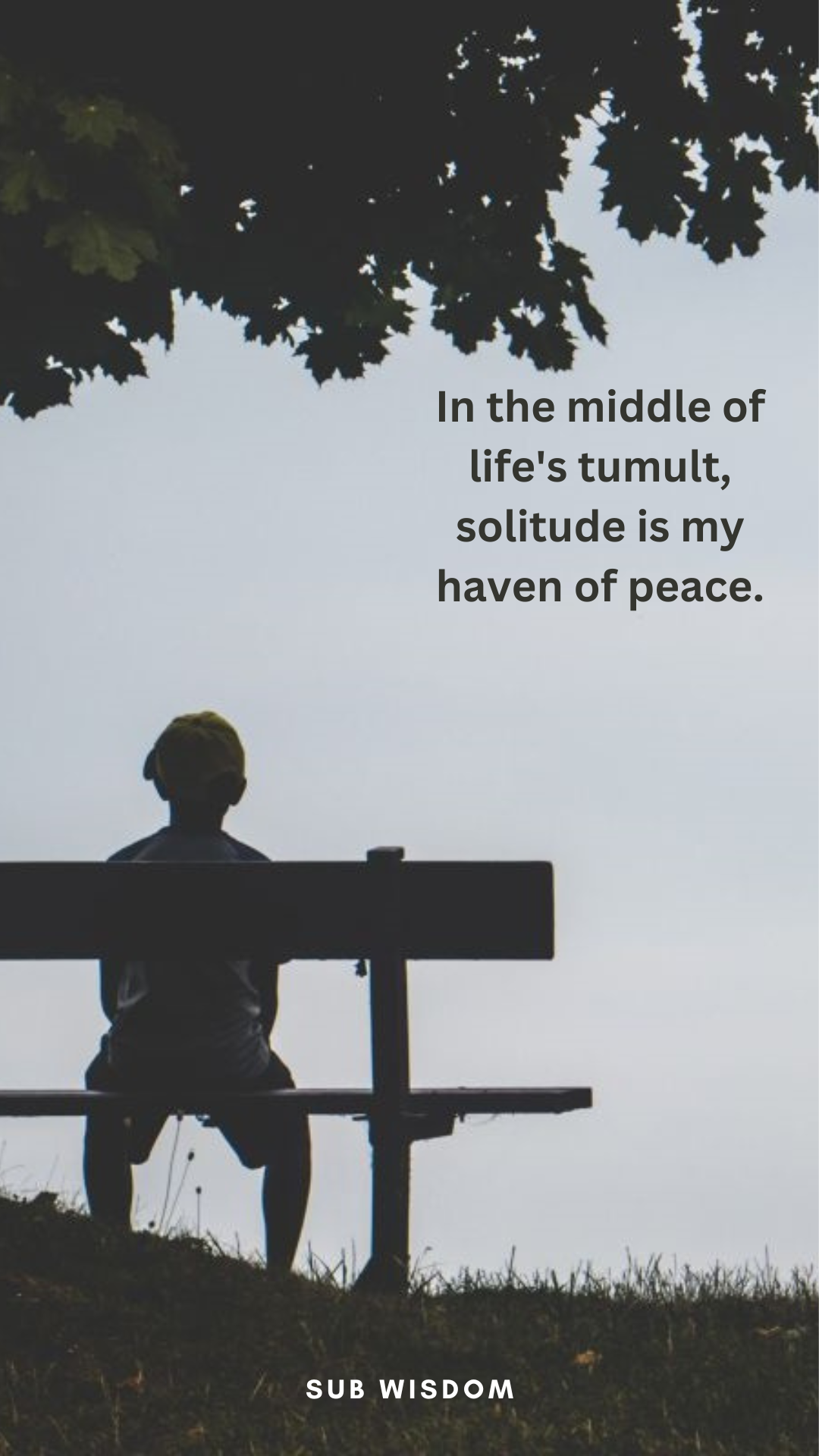 55+ Better To Be Alone Quotes to Help You Find Peace
