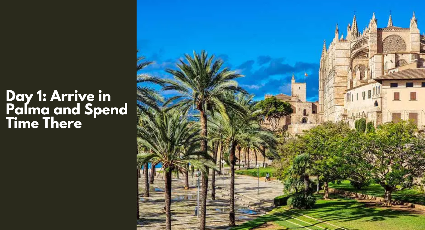 The Ultimate Mallorca Schedule: 7 Days to Cherish